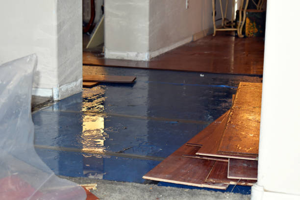 Professional Sewage Cleanup technician working in Frankfort, MI